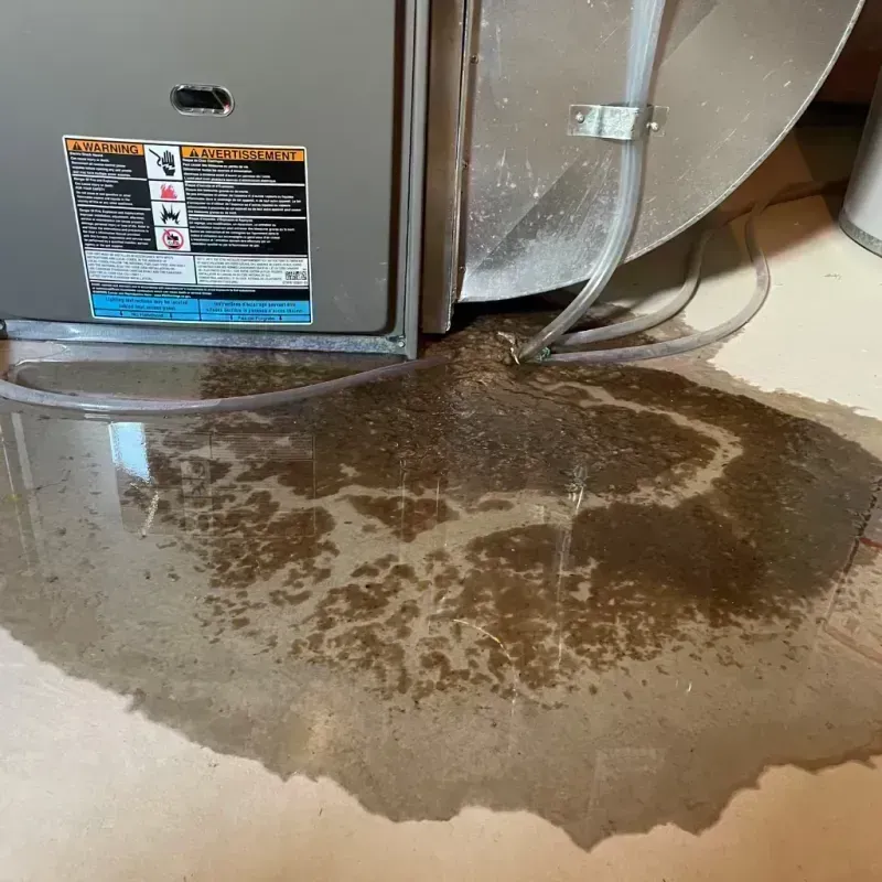 Appliance Leak Cleanup in Lincoln, MO